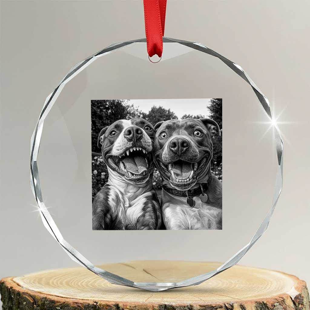 Pitbull Selfie Meme Crystal Glass Ornament Funny Dog Lover Graphic
