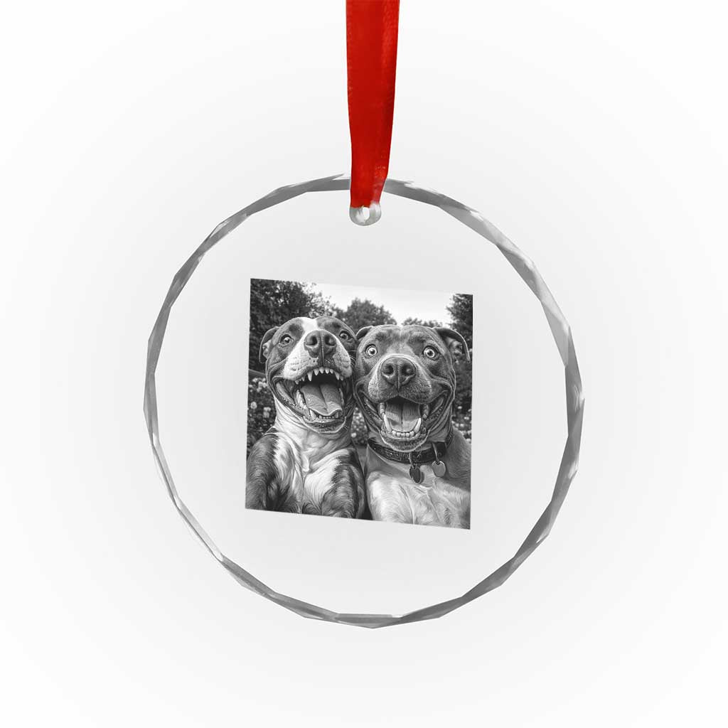 Pitbull Selfie Meme Crystal Glass Ornament Funny Dog Lover Graphic