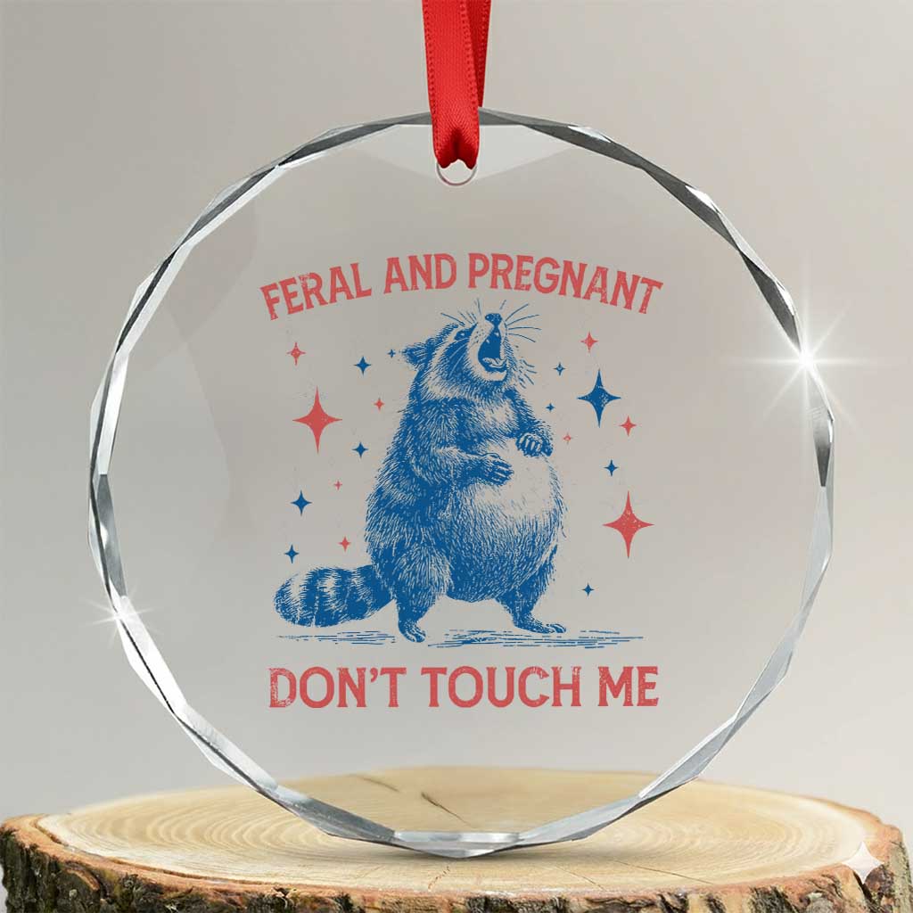 Pregnant Racoon Crystal Glass Ornament Feral And Pregnant Dont Touch Me Pregnancy Humor