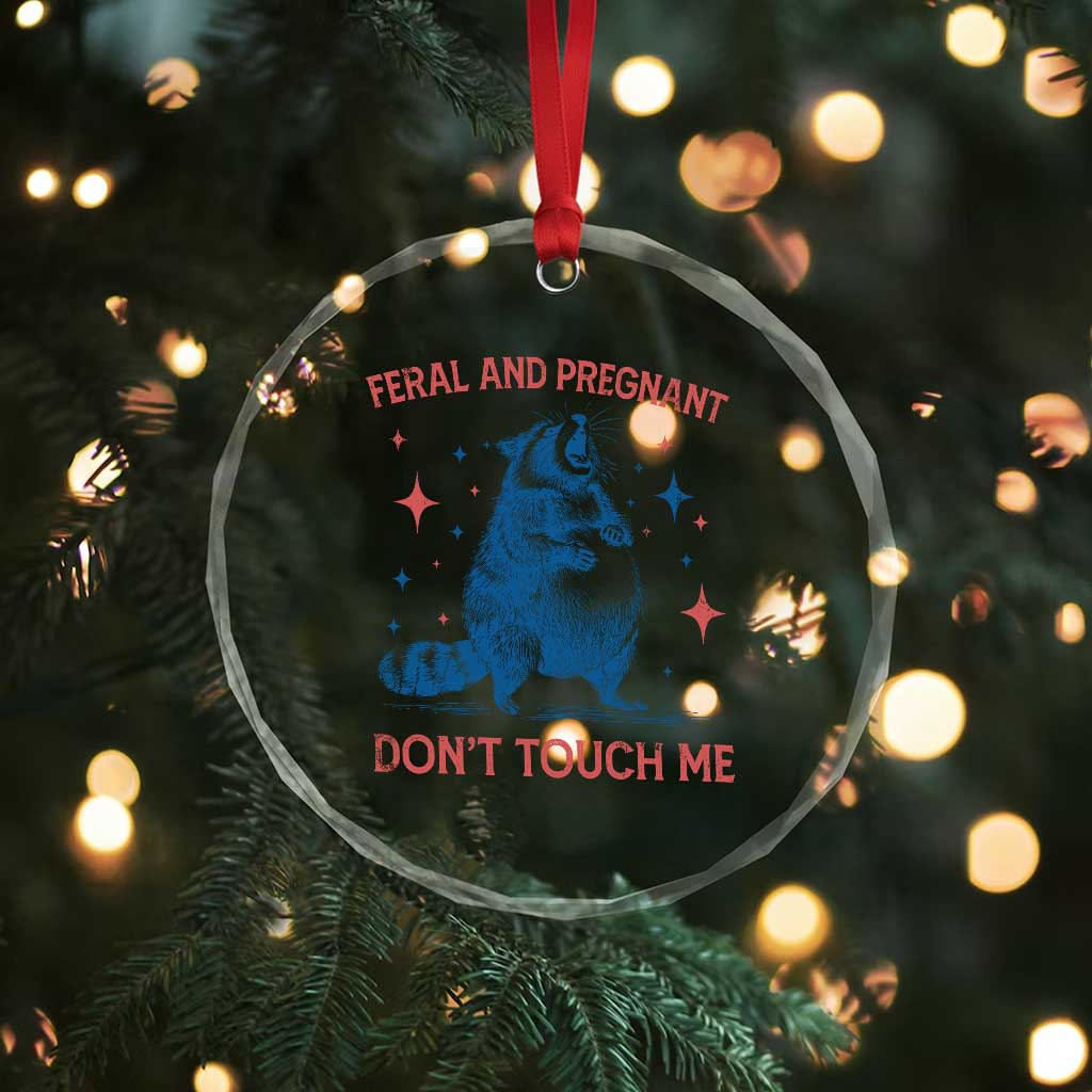 Pregnant Racoon Crystal Glass Ornament Feral And Pregnant Dont Touch Me Pregnancy Humor