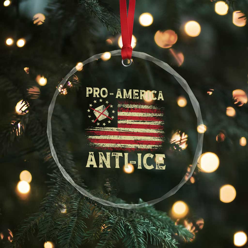 Pro American Anti Ice Crystal Glass Ornament Resist Protest Support Immigrants Refugee
