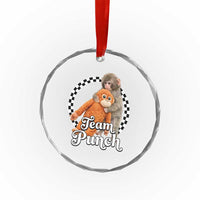 Punch Mokey Crystal Glass Ornament Baby Monkey And Plush Toy Viral Trend