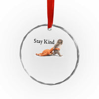 Punch The Monkey Meme Crystal Glass Ornament Stay Kind