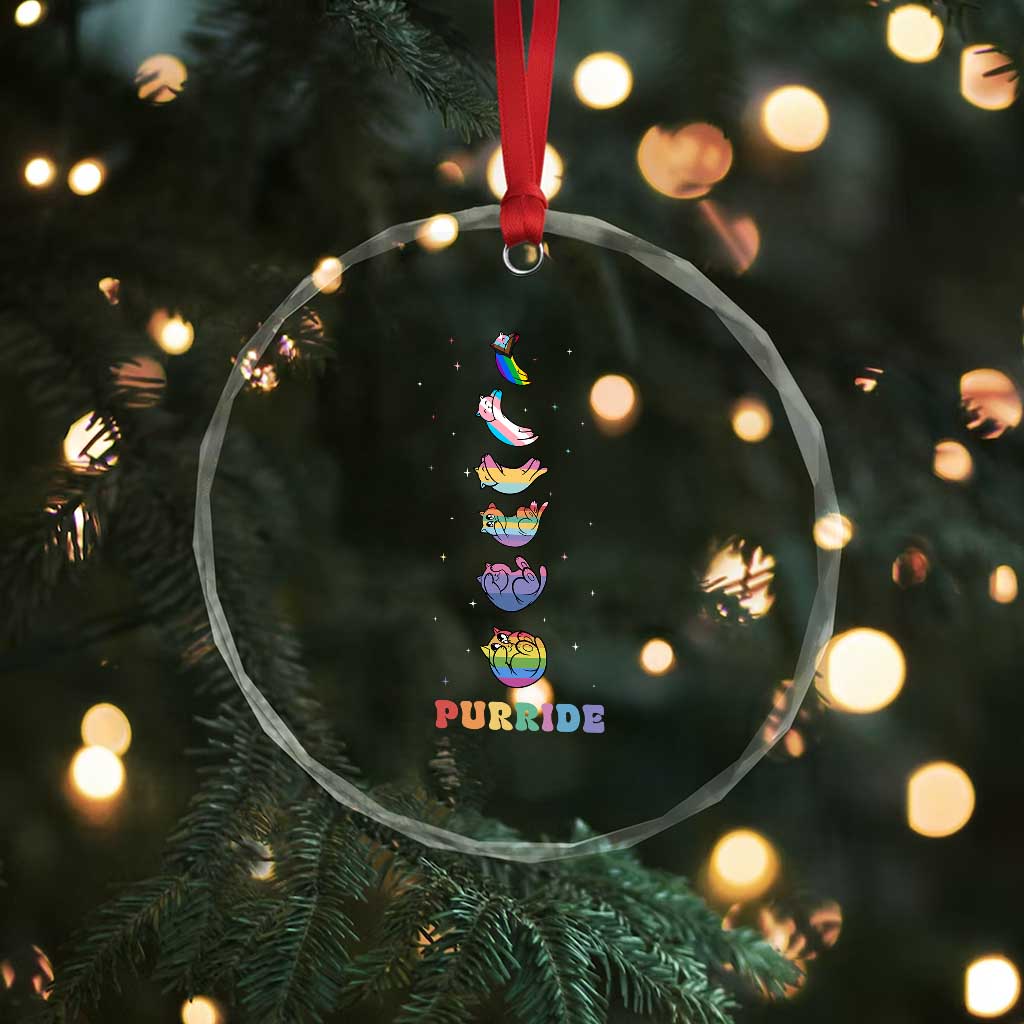 Purride Rainbow Cat Moon Cycles Crystal Glass Ornament LGBQT Pride Feline Space