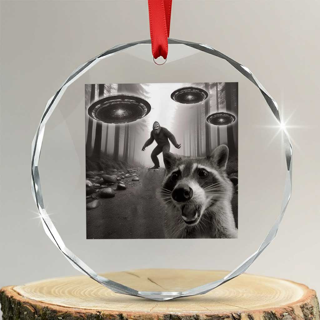 Raccoon Selfie With Bigfoot UFO Crystal Glass Ornament Funny Feral Lover Gifts - Wonder Print Shop