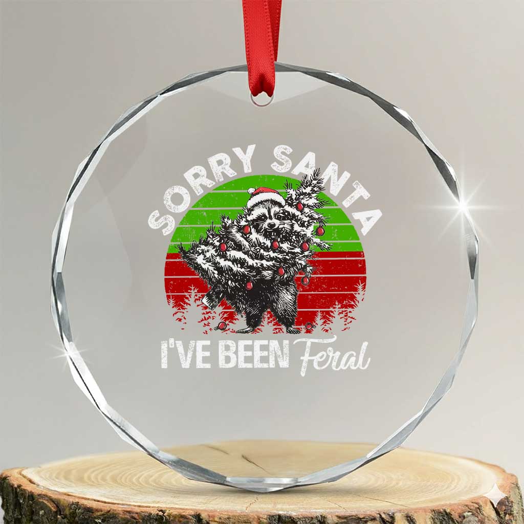 Raccoon Xmas Crystal Glass Ornament Sorry Santa I've Been Feral Retro Xmas Tree TS10