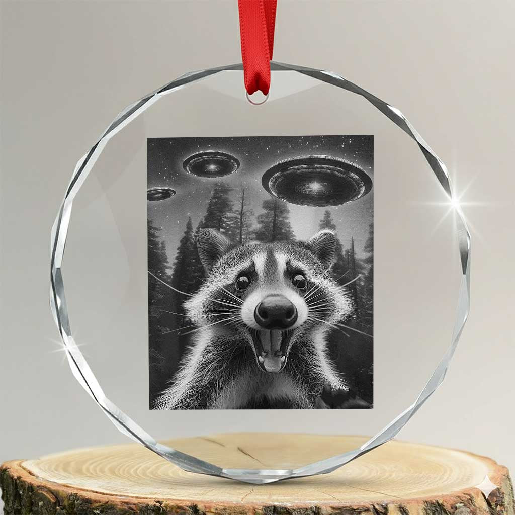 Racoon Meme Crystal Glass Ornament Selfie With Alien UFO - Wonder Print Shop