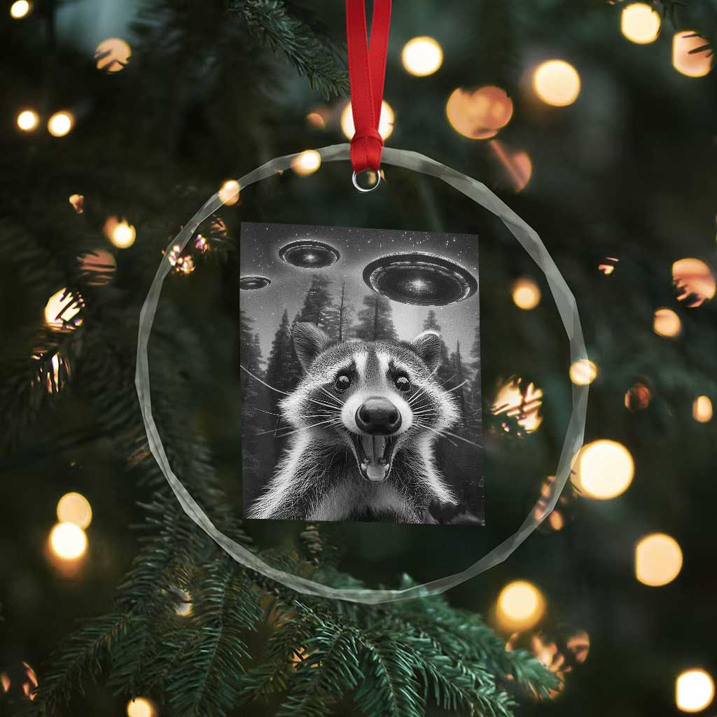 Racoon Meme Crystal Glass Ornament Selfie With Alien UFO - Wonder Print Shop