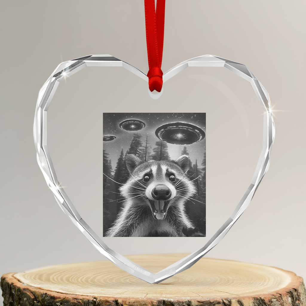 Racoon Meme Heart Crystal Glass Ornament Selfie With Alien UFO - Wonder Print Shop