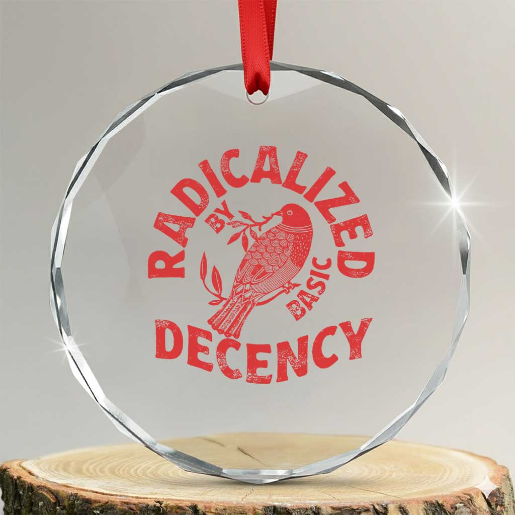 Radicalized By Basic Decency Crystal Glass Ornament Feminist Activist TS11