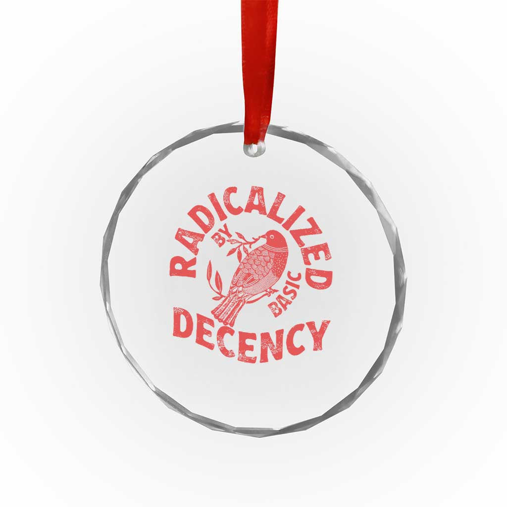 Radicalized By Basic Decency Crystal Glass Ornament Feminist Activist TS11
