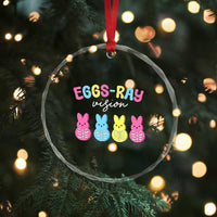 Radiology Easter Crystal Glass Ornament Eggs Ray Vision Xray Tech - Wonder Print Shop