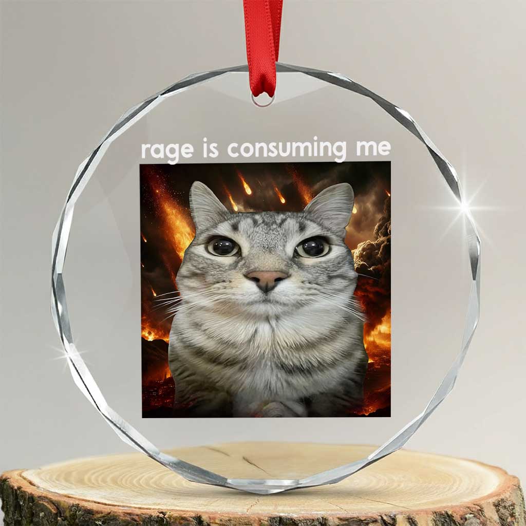 Rage Is Consuming Me Cat Crystal Glass Ornament Funny Weird Humor Silly Cat Meme - Wonder Print Shop