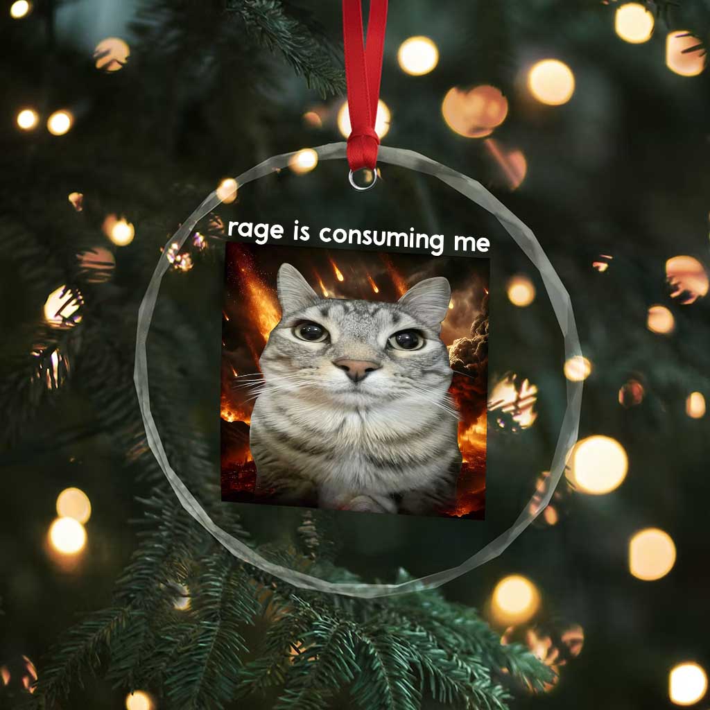 Rage Is Consuming Me Cat Crystal Glass Ornament Funny Weird Humor Silly Cat Meme - Wonder Print Shop