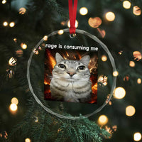 Rage Is Consuming Me Cat Crystal Glass Ornament Funny Weird Humor Silly Cat Meme - Wonder Print Shop