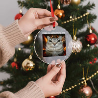 Rage Is Consuming Me Cat Crystal Glass Ornament Funny Weird Humor Silly Cat Meme - Wonder Print Shop