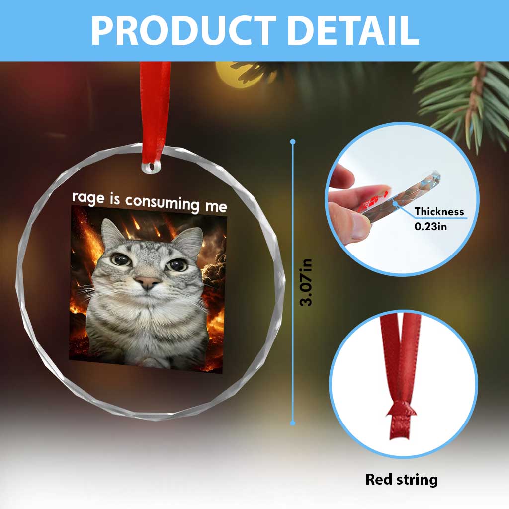 Rage Is Consuming Me Cat Crystal Glass Ornament Funny Weird Humor Silly Cat Meme - Wonder Print Shop