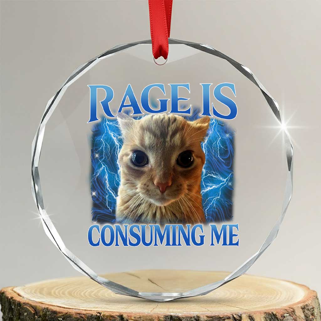 Rage Is Consuming Me Cat Meme Crystal Glass Ornament Funny Weird Humor Cat Face Bootleg - Wonder Print Shop