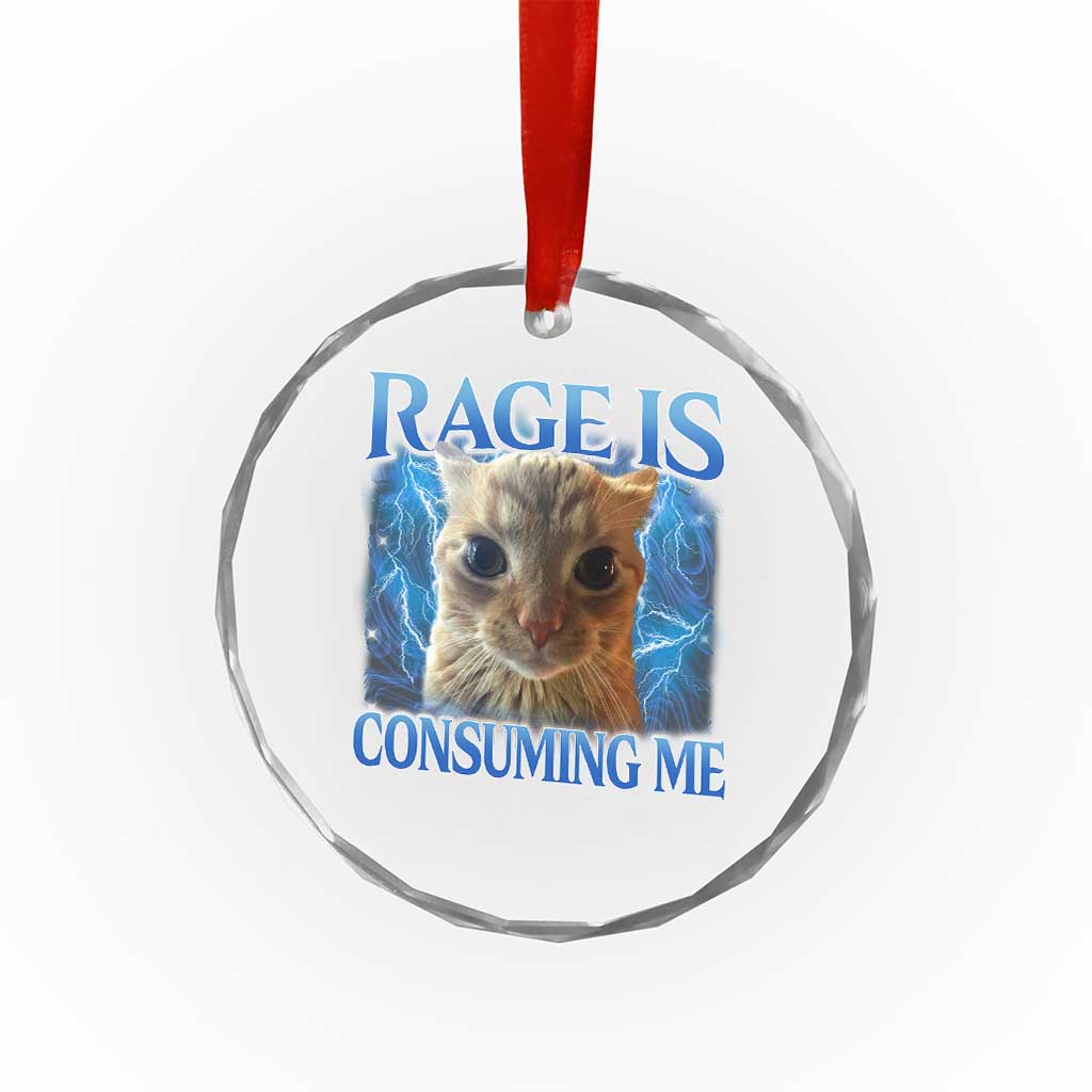 Rage Is Consuming Me Cat Meme Crystal Glass Ornament Funny Weird Humor Cat Face Bootleg - Wonder Print Shop
