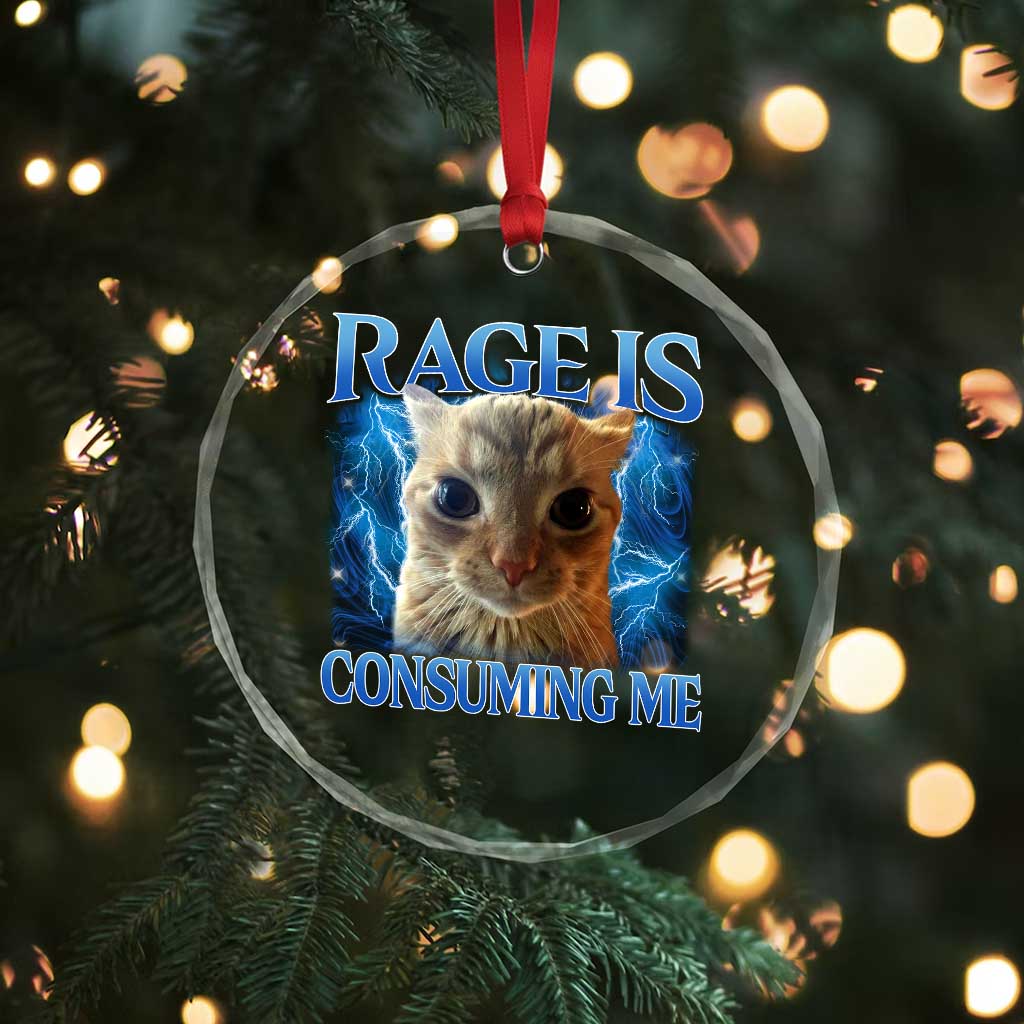 Rage Is Consuming Me Cat Meme Crystal Glass Ornament Funny Weird Humor Cat Face Bootleg - Wonder Print Shop