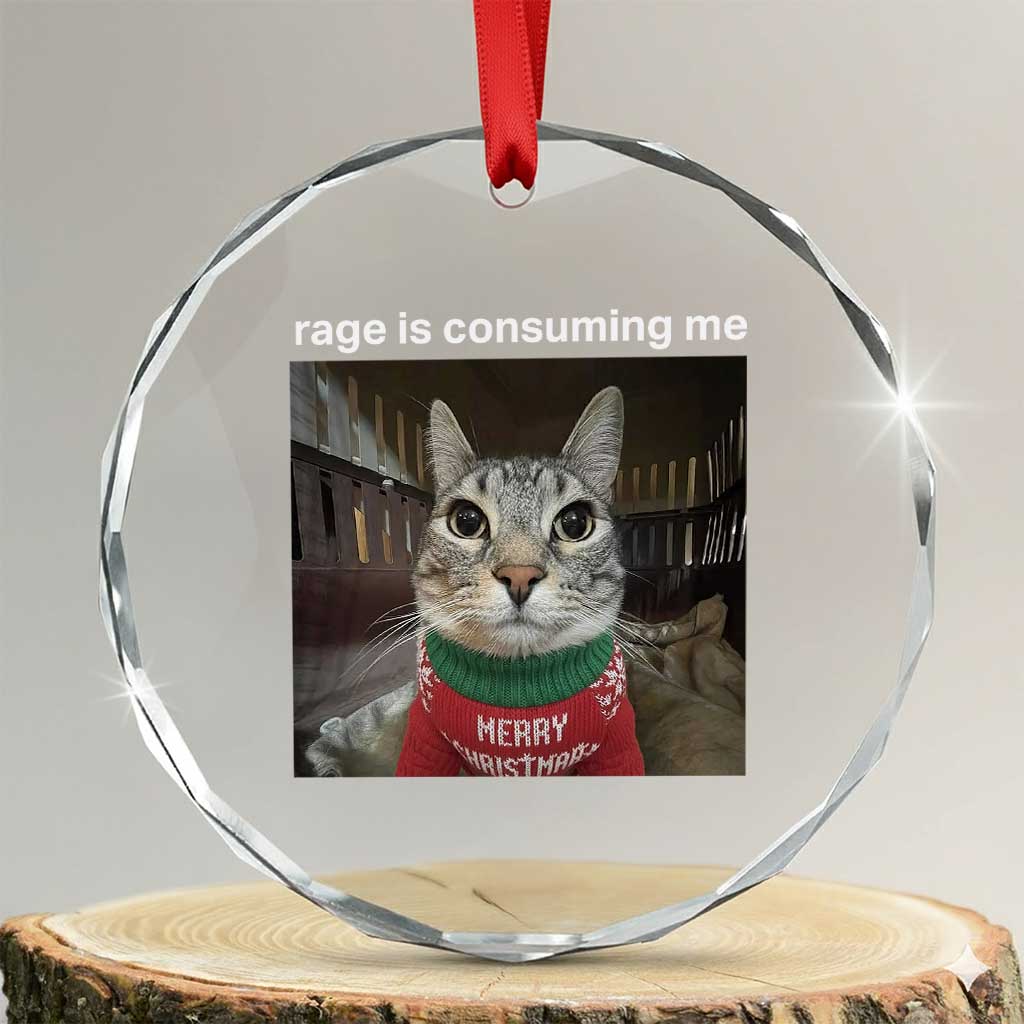 Rage Is Consuming Me Christmas Crystal Glass Ornament Funny Silly Staring Cat Meme Xmas Ugly Sweater - Wonder Print Shop