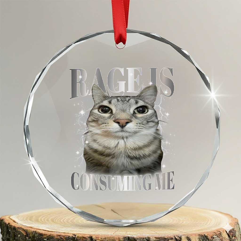 Rage Is Consuming Me Crystal Glass Ornament Funny Silly Cat Memes - Wonder Print Shop