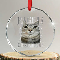 Rage Is Consuming Me Crystal Glass Ornament Funny Silly Cat Memes - Wonder Print Shop