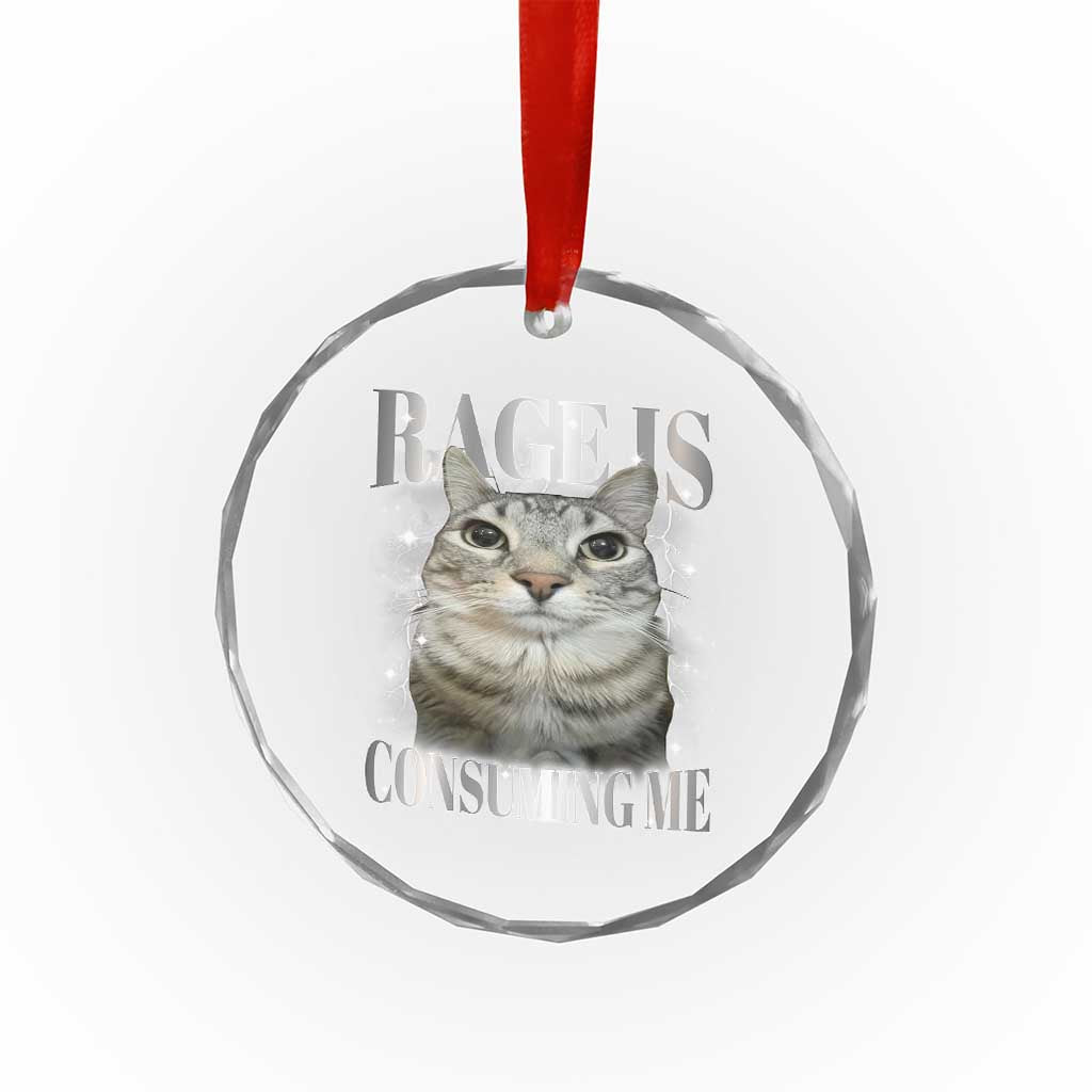 Rage Is Consuming Me Crystal Glass Ornament Funny Silly Cat Memes - Wonder Print Shop