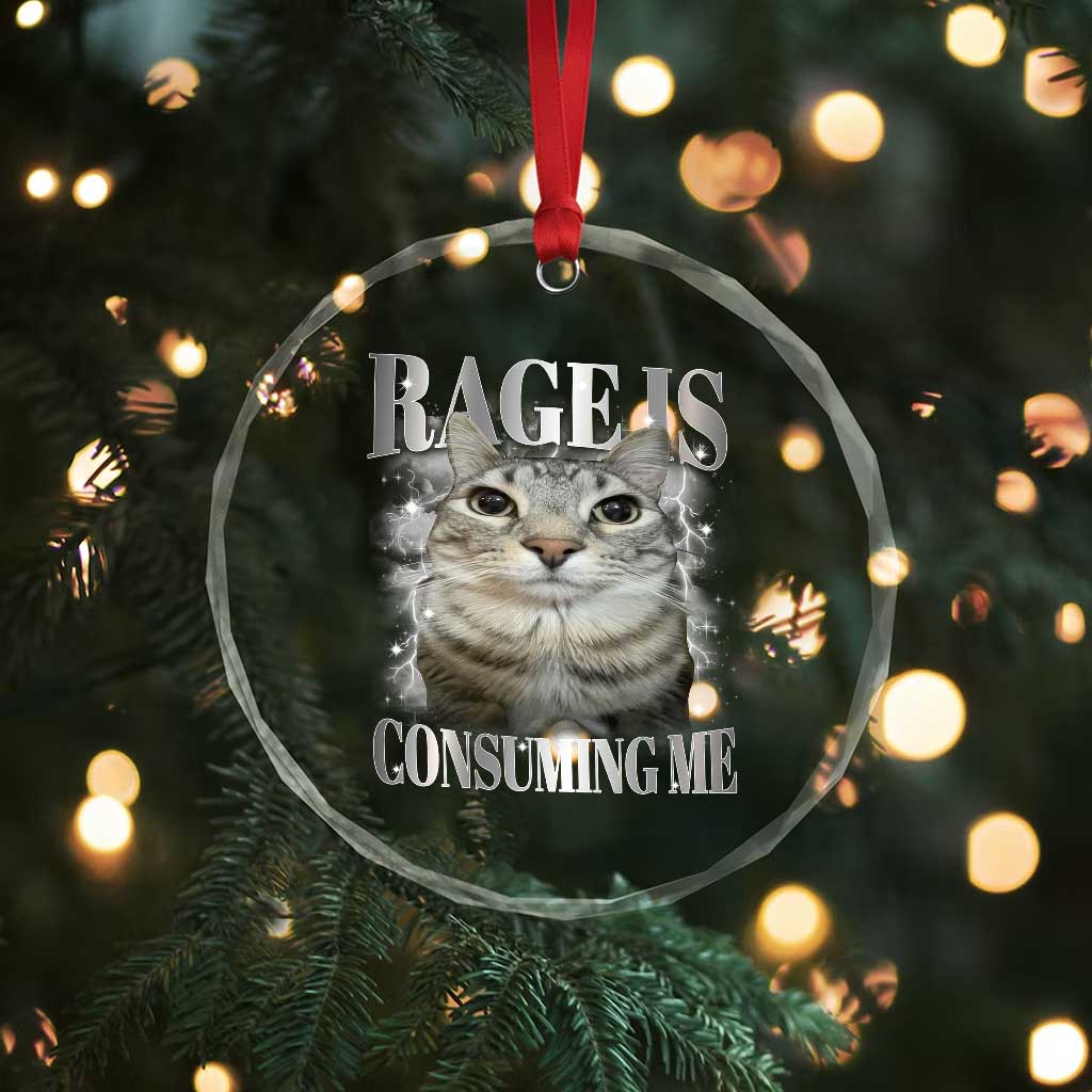 Rage Is Consuming Me Crystal Glass Ornament Funny Silly Cat Memes - Wonder Print Shop