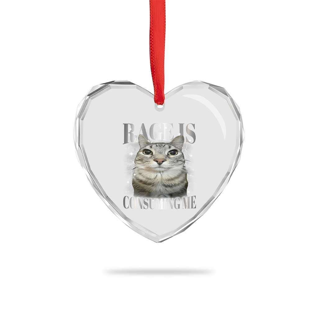 Rage Is Consuming Me Heart Crystal Glass Ornament Funny Silly Cat Memes - Wonder Print Shop