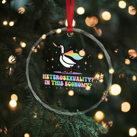 Rainbow Goose Heterosexuality in This Economy Crystal Glass Ornament LGBTQ Lesbian Pride - Wonder Print Shop