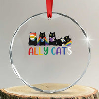 Rainbow Pride Ally Cats Crystal Glass Ornament LGBTQ Inclusion Cat Lover Gift