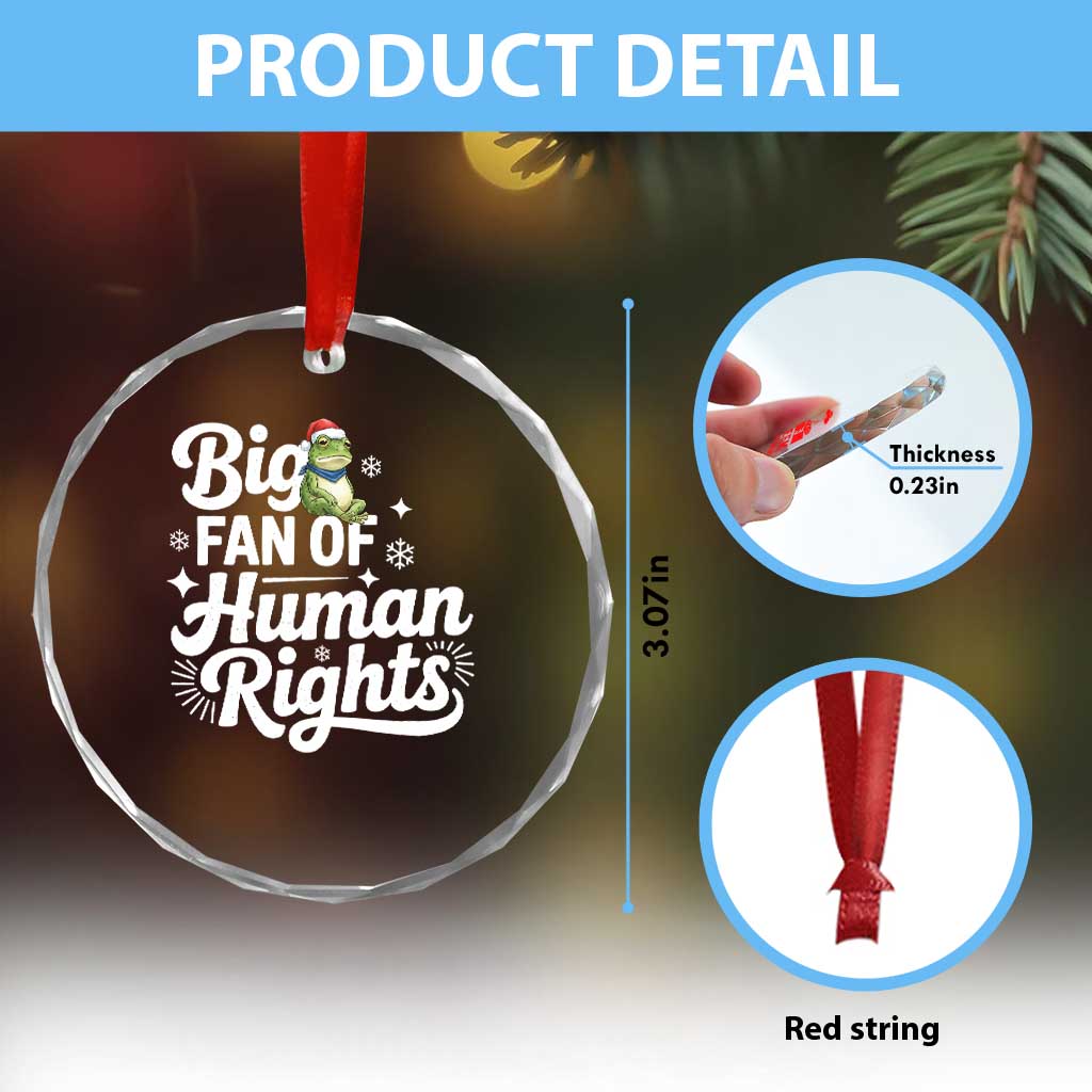 Resist Frog Christmas Crystal Glass Ornament Big Fan Of Human Rights Political Meme - Wonder Print Shop
