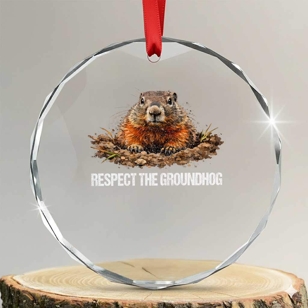 Respect The Groundhog Crystal Glass Ornament Funny Woodchuck - Wonder Print Shop