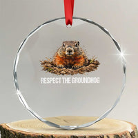 Respect The Groundhog Crystal Glass Ornament Funny Woodchuck - Wonder Print Shop