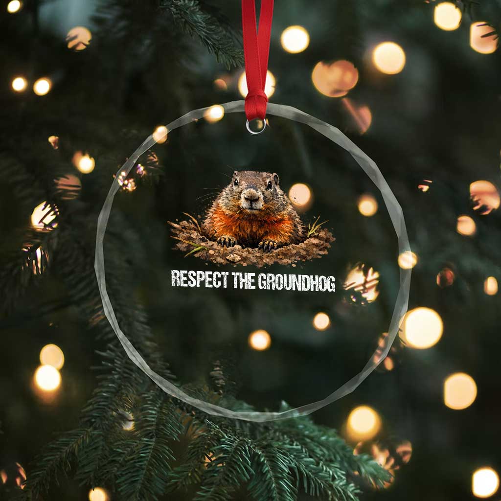 Respect The Groundhog Crystal Glass Ornament Funny Woodchuck - Wonder Print Shop