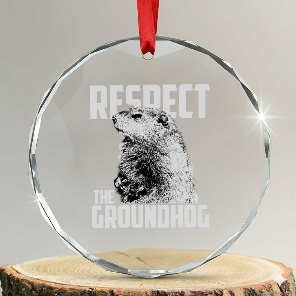 Respect The Groundhog Crystal Glass Ornament Funny Woodchuck Shadow Meteorlogy TS02
