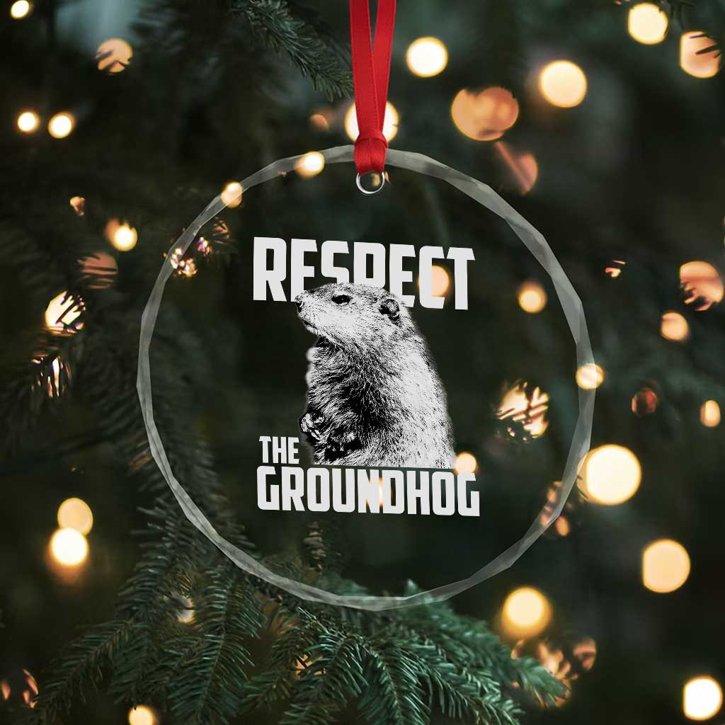 Respect The Groundhog Crystal Glass Ornament Funny Woodchuck Shadow Meteorlogy TS02