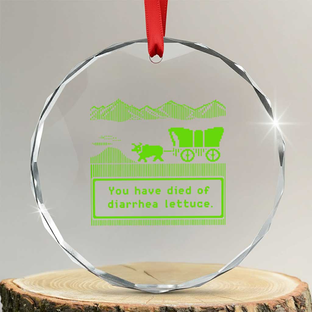 Retro 8-Bit Pixel 80s Game Over Parody Graphic Crystal Glass Ornament You Have Died Of Diarrhea Lettuce
