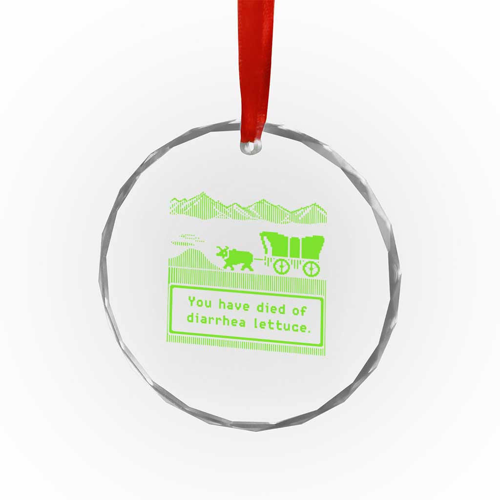 Retro 8-Bit Pixel 80s Game Over Parody Graphic Crystal Glass Ornament You Have Died Of Diarrhea Lettuce