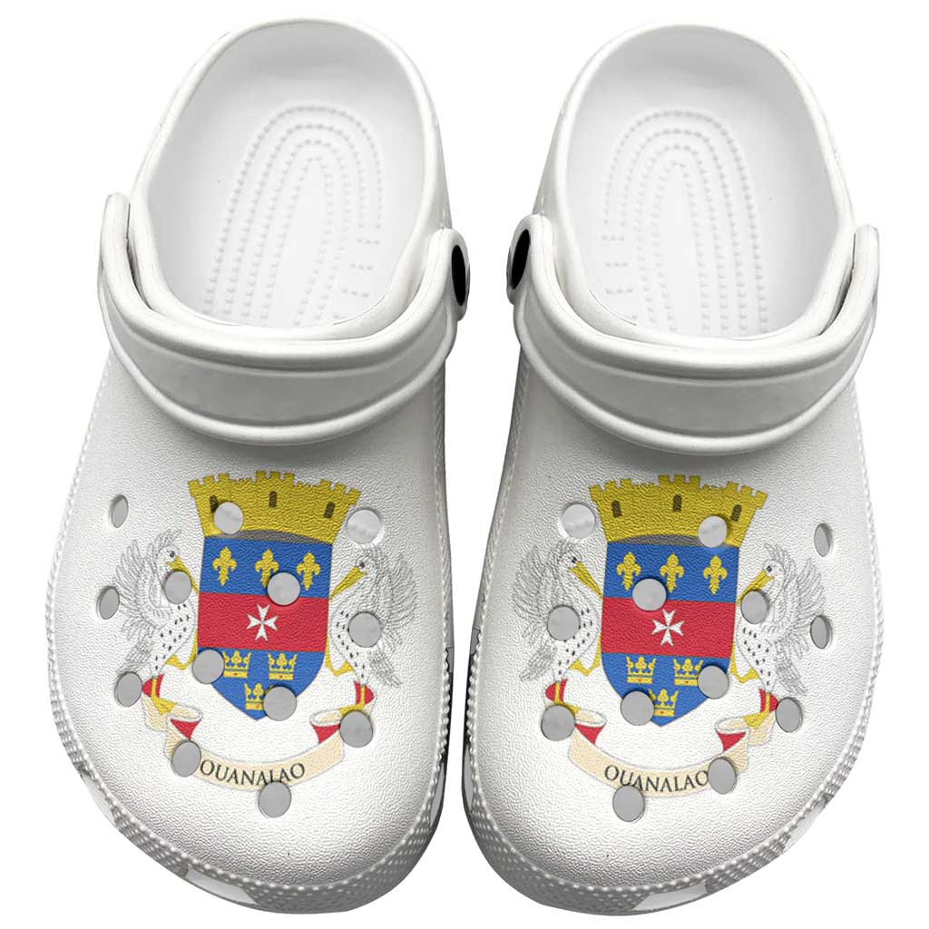 Saint Barthélemy Clogs Shoes Heritage Palette Flag-Inspired - Wonder Print Shop