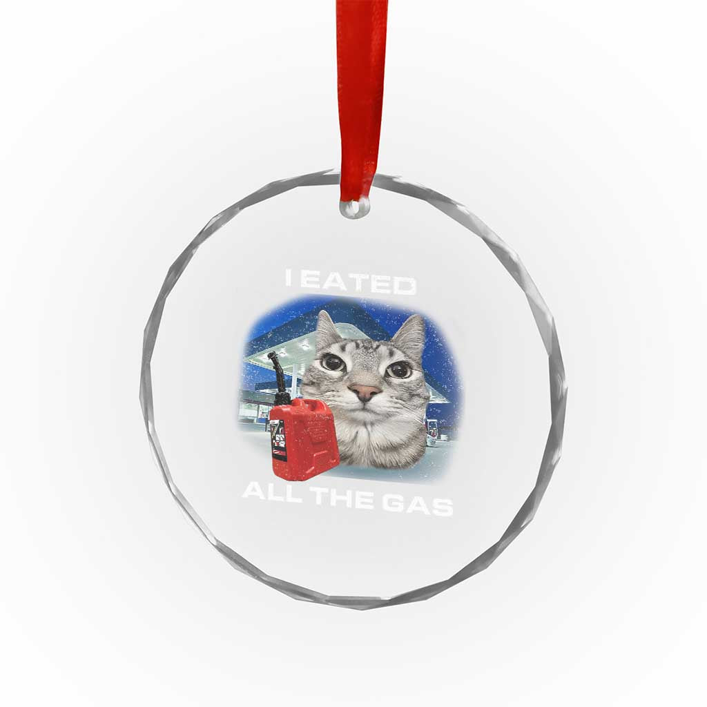 Sarcastic Cat Meme Crystal Glass Ornament Funny Retro I Eated All The Gas Gen Z Humor - Wonder Print Shop