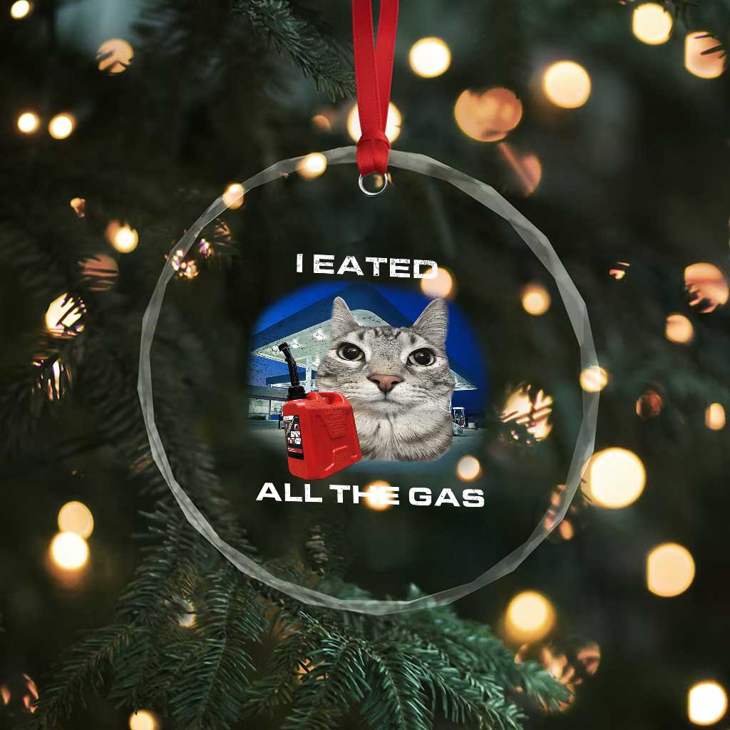 Sarcastic Cat Meme Crystal Glass Ornament Funny Retro I Eated All The Gas Gen Z Humor - Wonder Print Shop