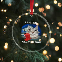 Sarcastic Cat Meme Crystal Glass Ornament Funny Retro I Eated All The Gas Gen Z Humor - Wonder Print Shop