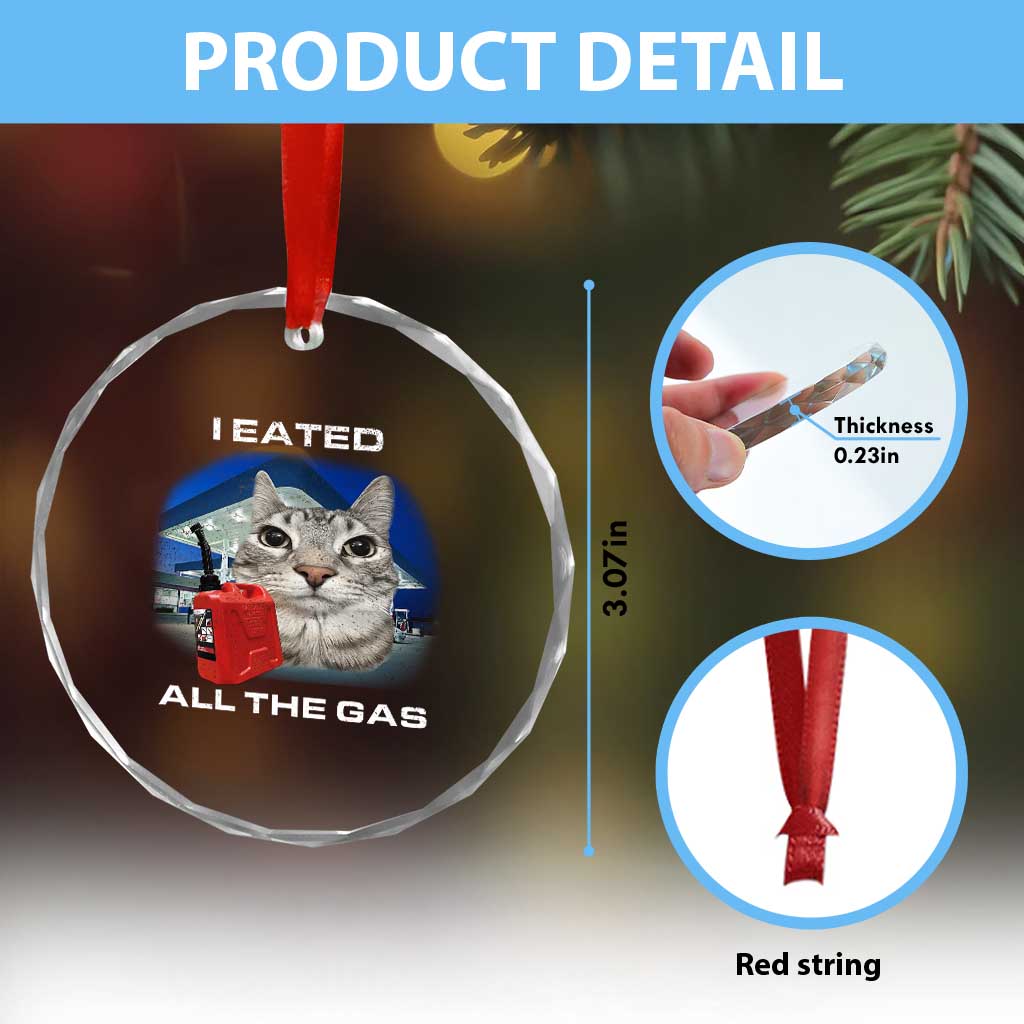 Sarcastic Cat Meme Crystal Glass Ornament Funny Retro I Eated All The Gas Gen Z Humor - Wonder Print Shop