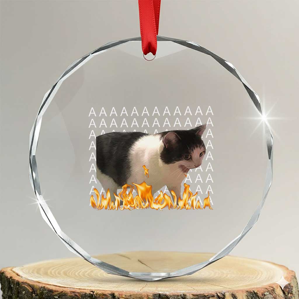 Screaming Cat Meme Crystal Glass Ornament Funny Internet Gen Z Cat Lover