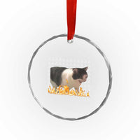 Screaming Cat Meme Crystal Glass Ornament Funny Internet Gen Z Cat Lover