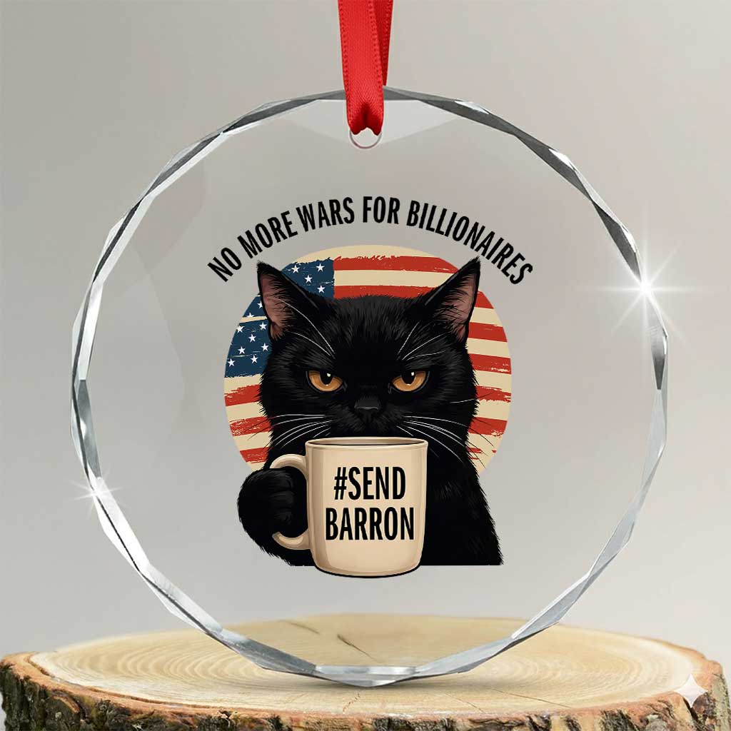 Send Barron Meme Crystal Glass Ornament Funny Cat Sarcastic Political