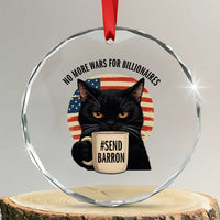 Send Barron Meme Crystal Glass Ornament Funny Cat Sarcastic Political