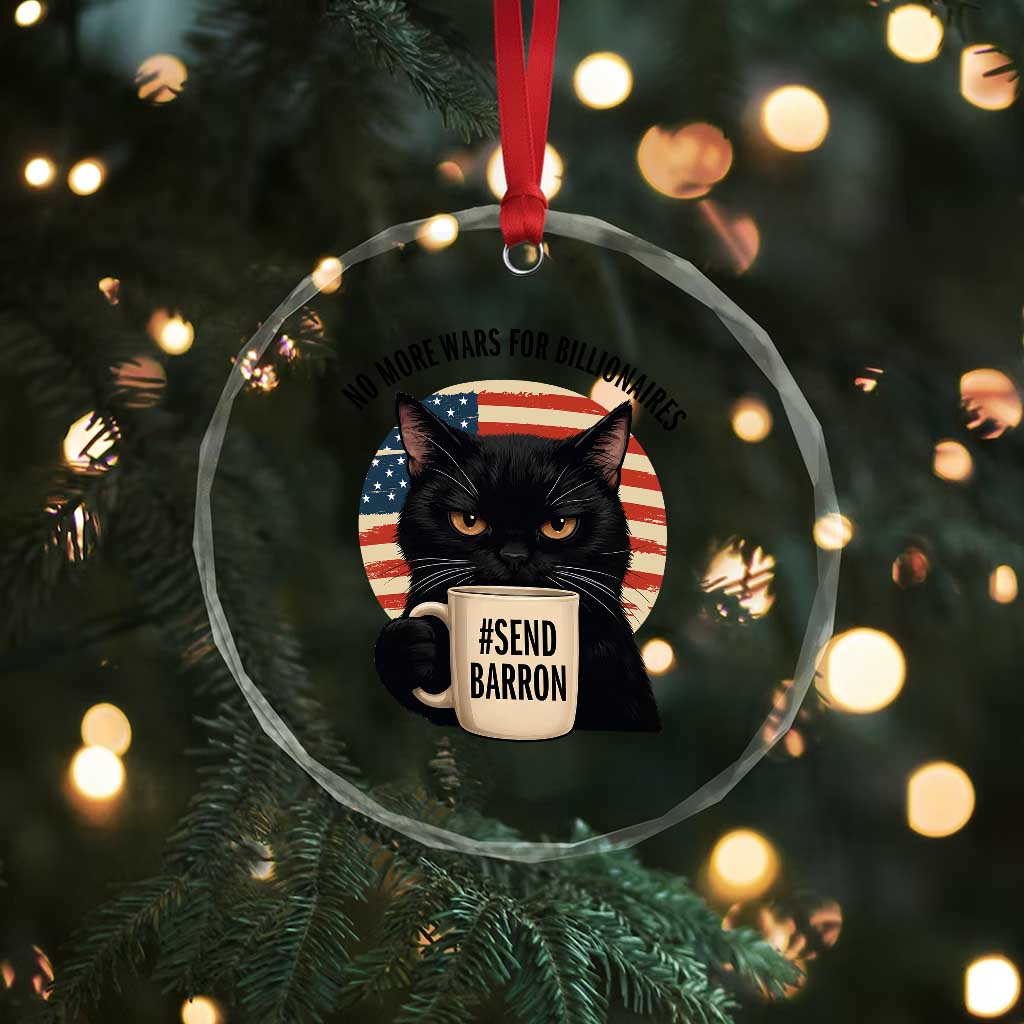 Send Barron Meme Crystal Glass Ornament Funny Cat Sarcastic Political